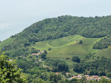 Pyrénées basques vignes AOP Irouléguy